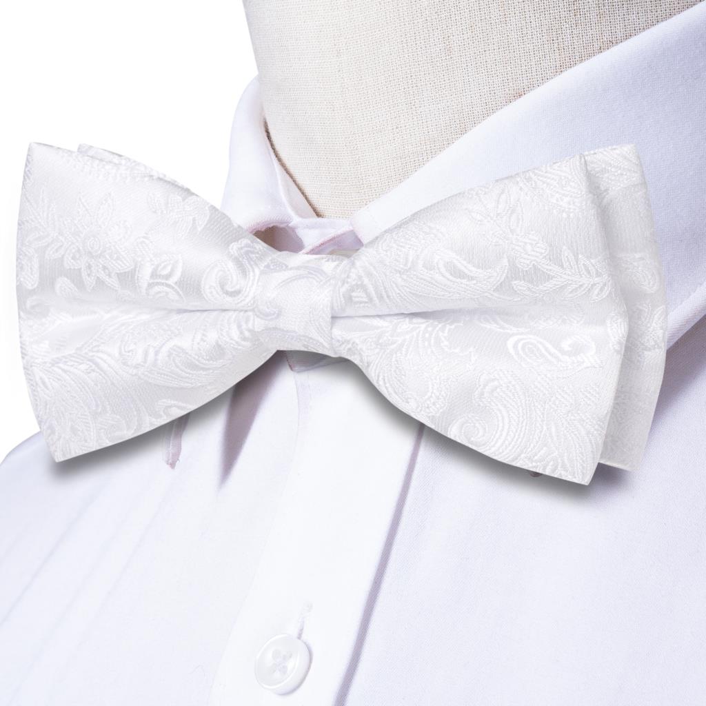 Hi-Tie Heren Vlinderdas Zakdoe - Bow Tie Pre Tied recensie en prijs