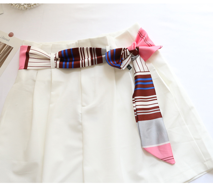 TOP Kleine Lange Zijden Halsdo - Silk Tie Striped recensie en prijs